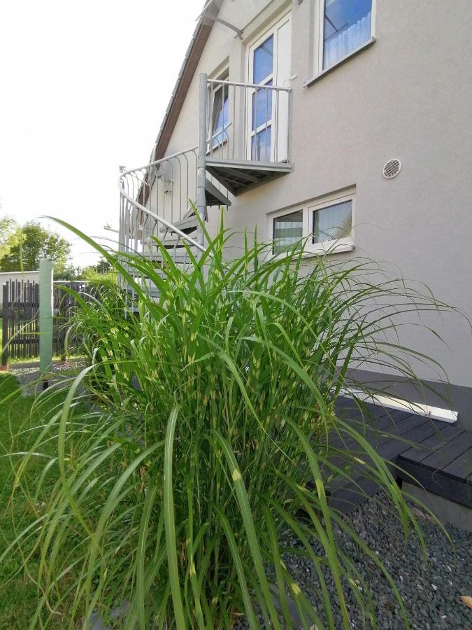 Langenwetzendorf Ferienwohnung Familie Ernst מראה חיצוני תמונה